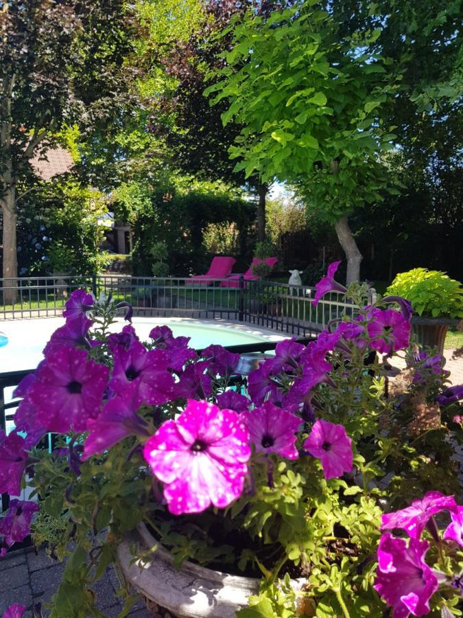 B&B Le Jardin NeerNeerpelt Exterior foto