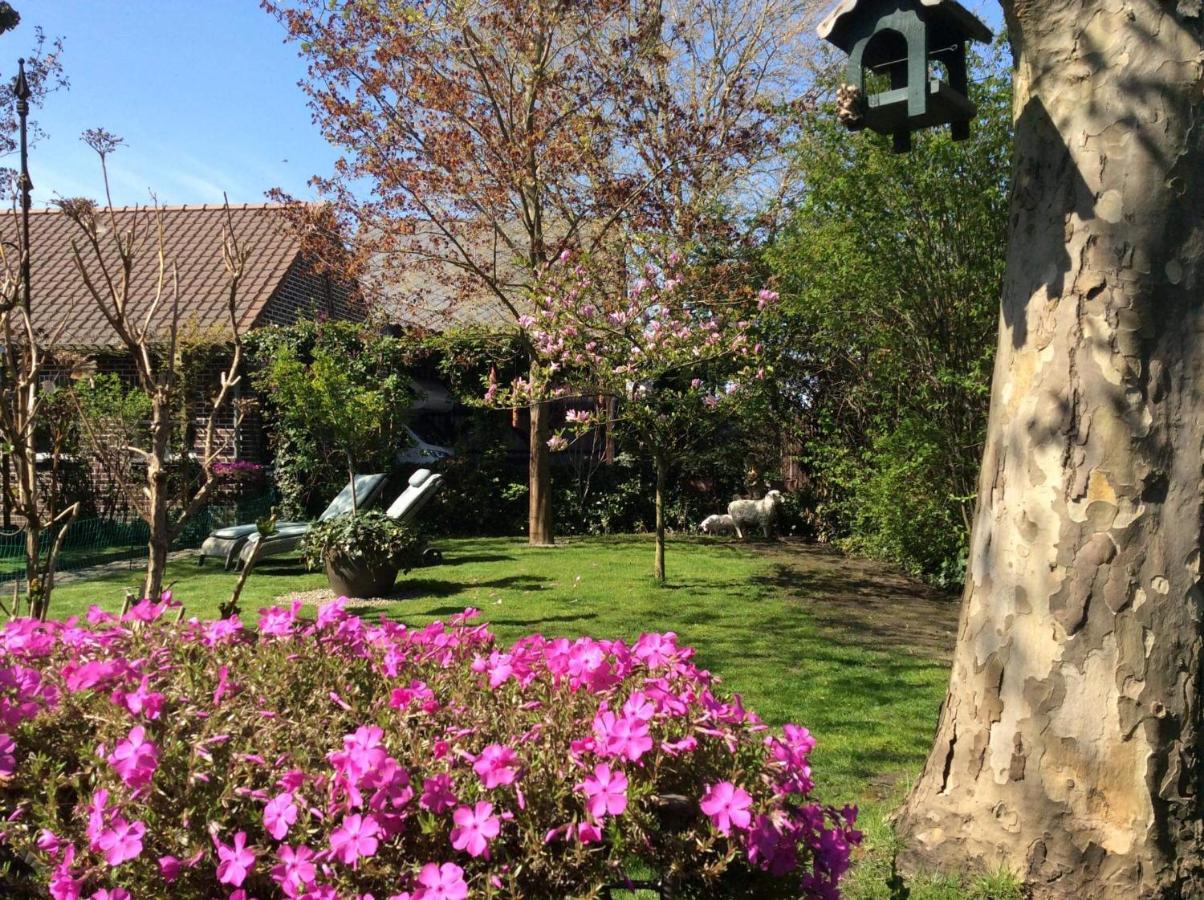 B&B Le Jardin NeerNeerpelt Exterior foto